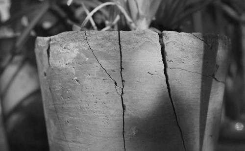 majaf_027_01_X1_0034