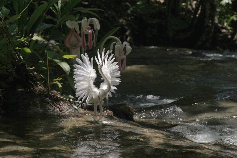 mexic_011_03_X1_0356