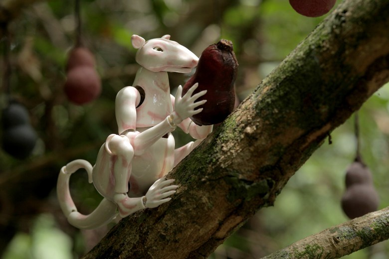 mexic_032_02_X1_0128