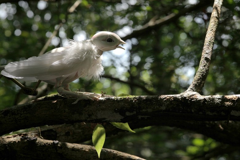 mexic_063_02_X1_0104