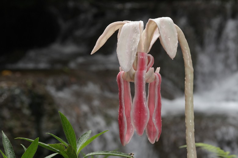 mexic_58b_02_X1_0003